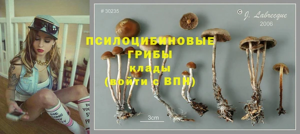 ПСИЛОЦИБИНОВЫЕ ГРИБЫ Краснотурьинск