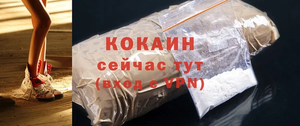 дживик Краснослободск
