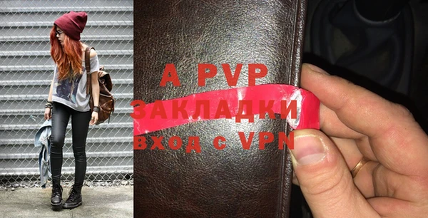 дживик Краснослободск