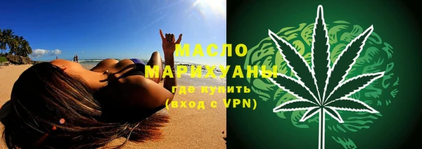 крисы Кулебаки