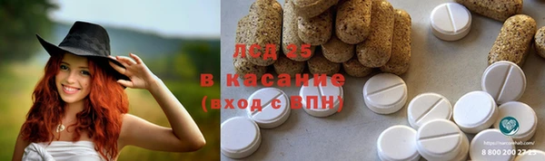дживик Краснослободск