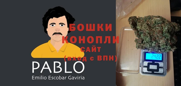 дживик Краснослободск