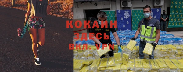 ПСИЛОЦИБИНОВЫЕ ГРИБЫ Краснотурьинск