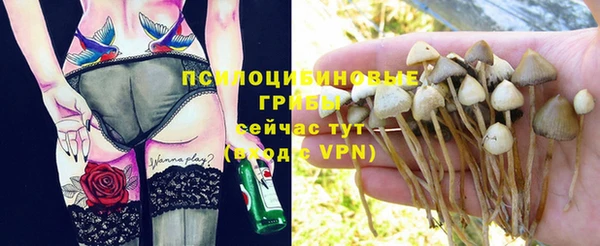 ПСИЛОЦИБИНОВЫЕ ГРИБЫ Краснотурьинск