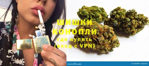 ПСИЛОЦИБИНОВЫЕ ГРИБЫ Краснотурьинск