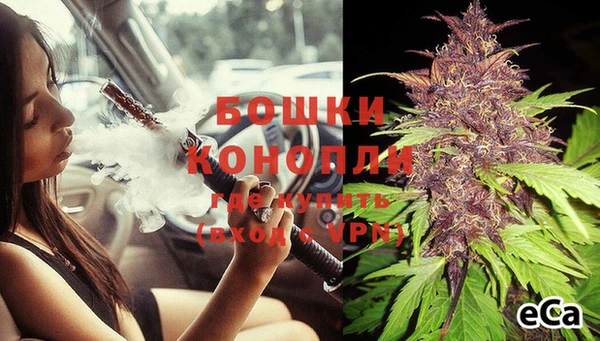 ПСИЛОЦИБИНОВЫЕ ГРИБЫ Краснотурьинск