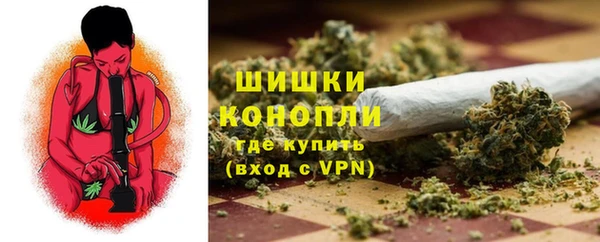 ПСИЛОЦИБИНОВЫЕ ГРИБЫ Краснотурьинск