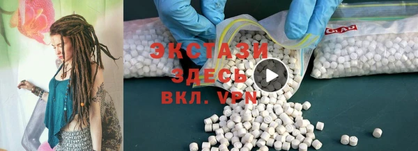 дживик Краснослободск