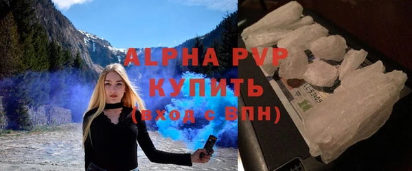 дживик Краснослободск