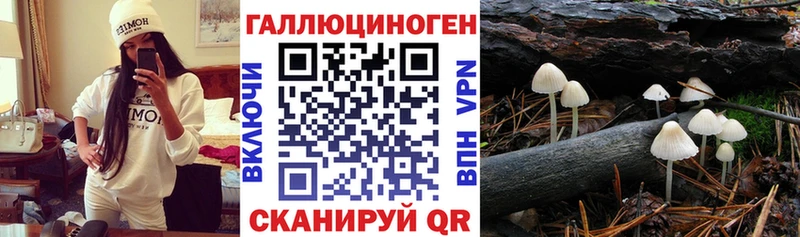Купить  Кадников  Галлюциногенные грибы GOLDEN TEACHER 